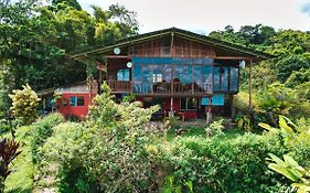 Birds & Breakfast Costa Rica